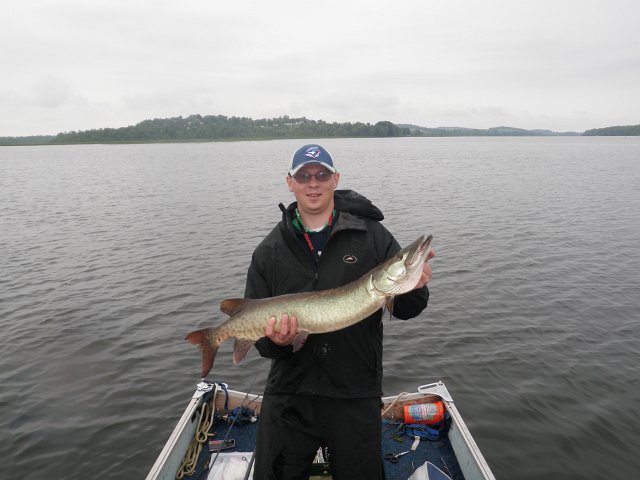 rice lake musky 1.JPG - Rob with a musky he caught this past weekend on Rice Lake with the Shimano Compre. It came in on his friend Jeff's Fire-Tiger patterned, split jointed, floating J13 Rapala.